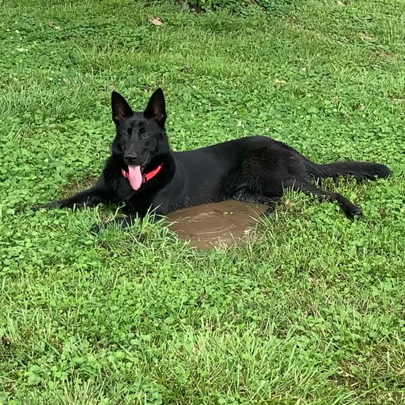 Meet your Posher, Rachel - Picture 6 of 15